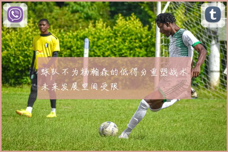 球队不为杨瀚森的低得分重塑战术未来发展空间受限
