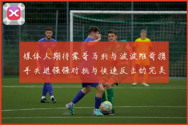 媒体人期待蒙哥马利与波波维奇携手共进强强对抗与快速反击的完美结合